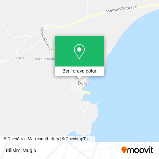 Bilişim harita
