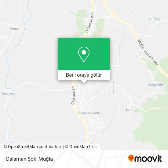 Dalaman Şok harita