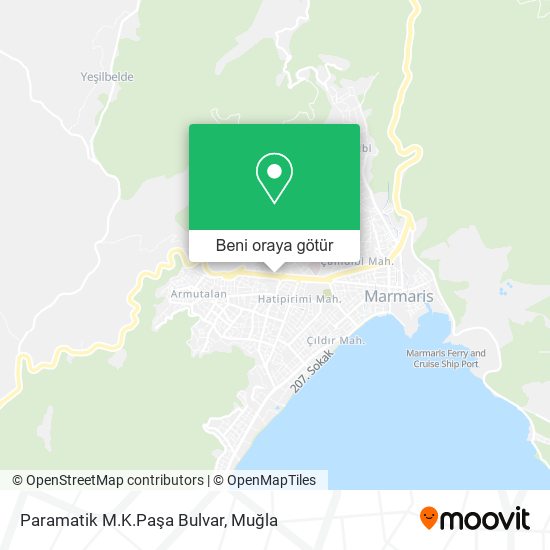 Paramatik M.K.Paşa Bulvar harita