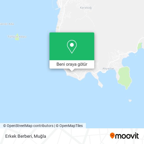 Erkek Berberi harita