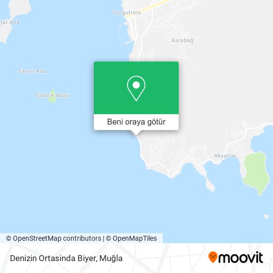 Denizin Ortasinda Biyer harita