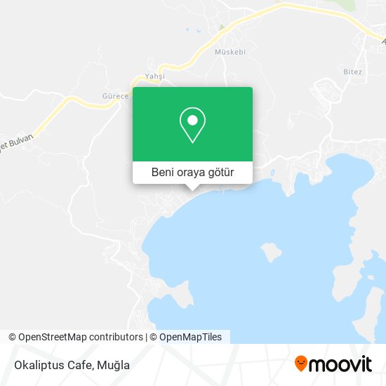 Okaliptus Cafe harita