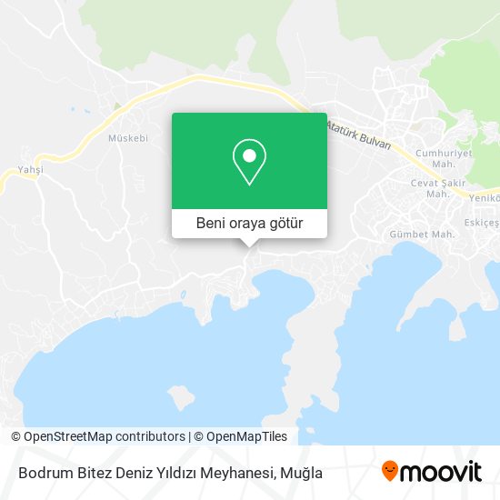 Bodrum Bitez Deniz Yıldızı Meyhanesi harita