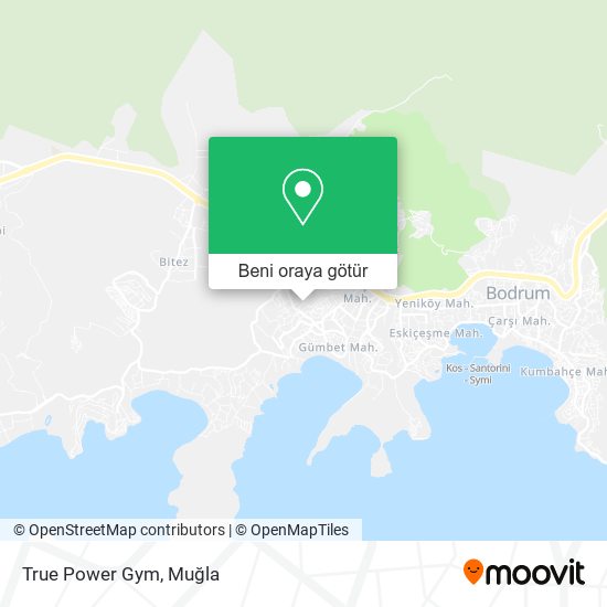 True Power Gym harita