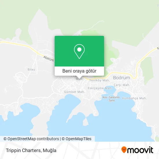 Trippin Charters harita