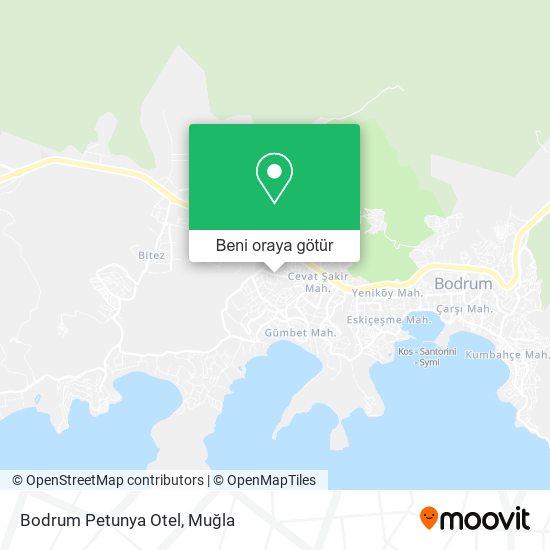 Bodrum Petunya Otel harita