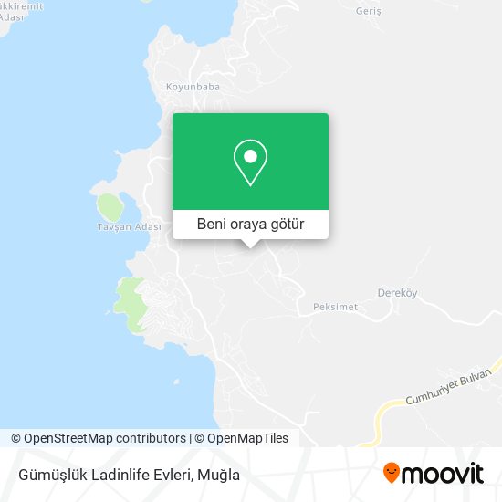 Gümüşlük Ladinlife Evleri harita