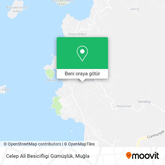 Celep Ali Besicifligi Gümüşlük harita