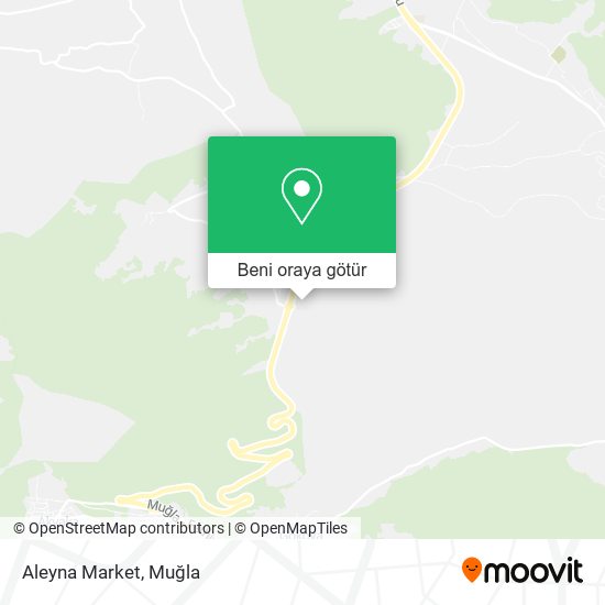 Aleyna Market harita