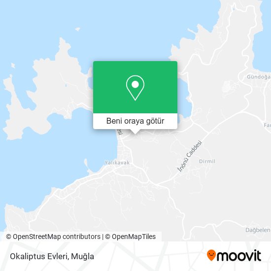 Okaliptus Evleri harita