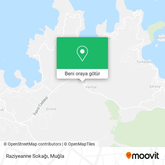 Raziyeanne Sokağı harita
