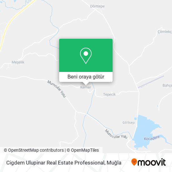 Cigdem Ulupinar Real Estate Professional harita