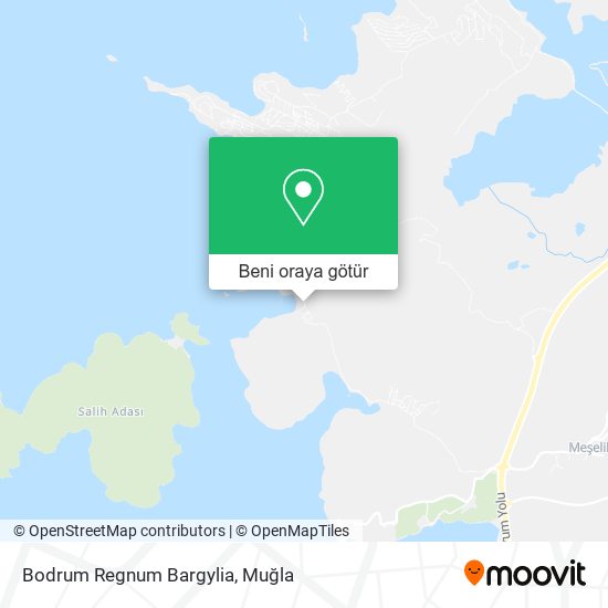 Bodrum Regnum Bargylia harita