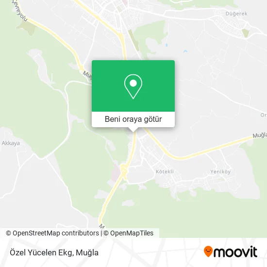 Özel Yücelen Ekg harita