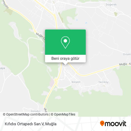 Kıfıdıs Ortapedı San.V harita