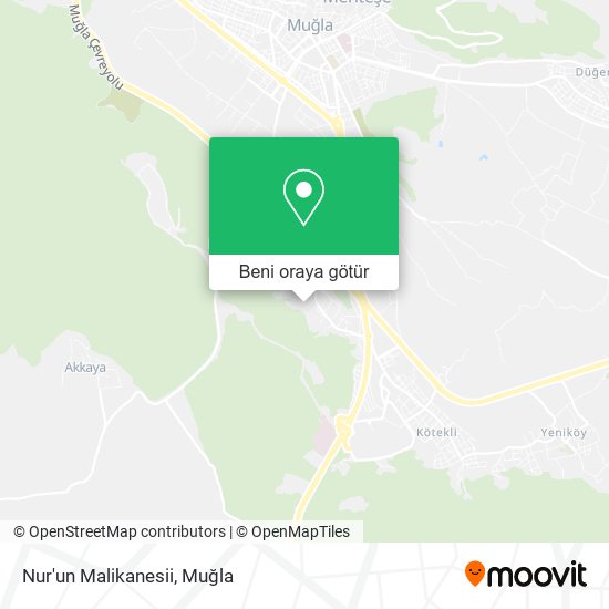 Nur'un Malikanesii harita