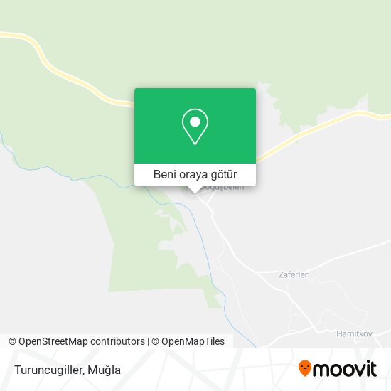 Turuncugiller harita