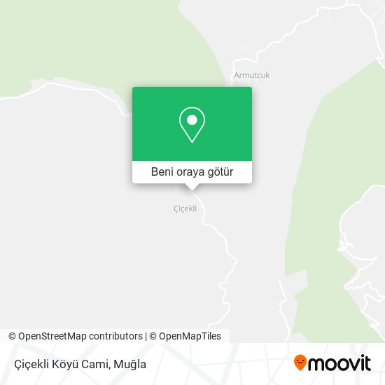 Çiçekli Köyü Cami harita