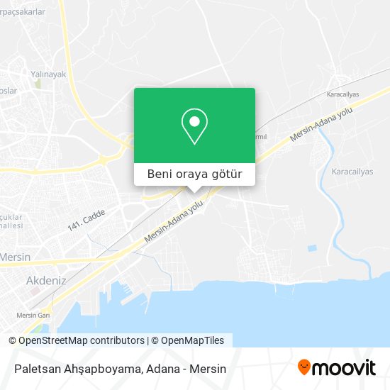 Paletsan Ahşapboyama harita