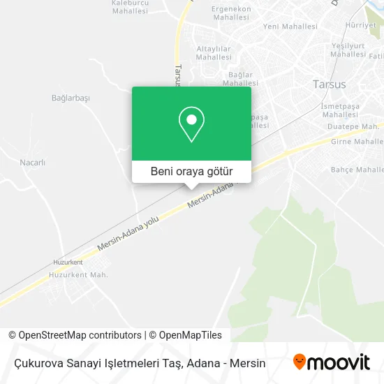 Çukurova Sanayi Işletmeleri Taş harita