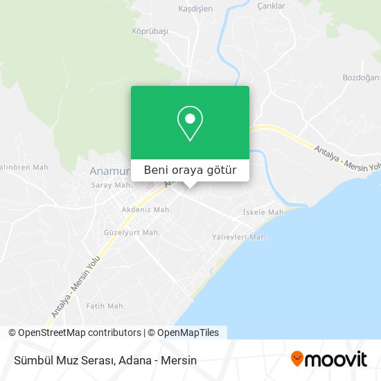 Sümbül Muz Serası harita