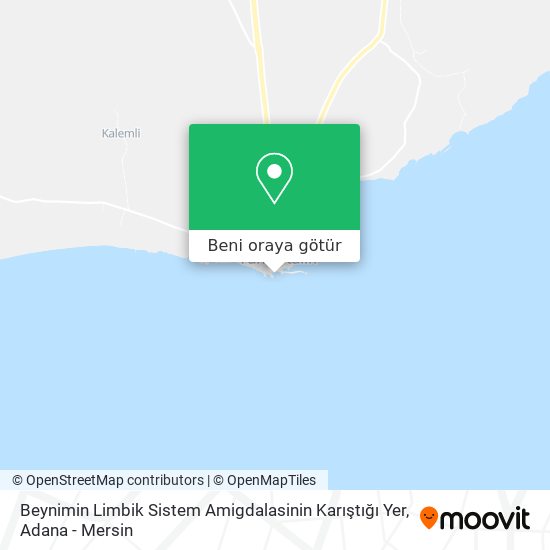 Beynimin Limbik Sistem Amigdalasinin Karıştığı Yer harita