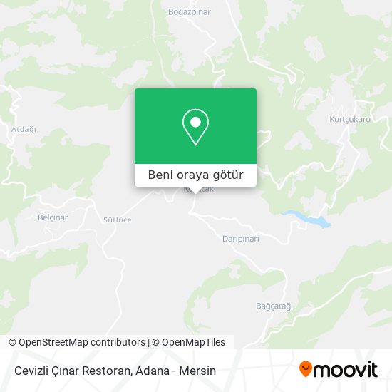 Cevizli Çınar Restoran harita