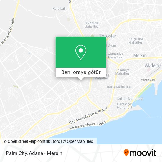 Palm City harita