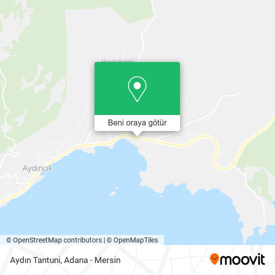 Aydın Tantuni harita