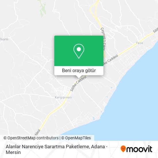 Alanlar Narenciye Sarartma Paketleme harita