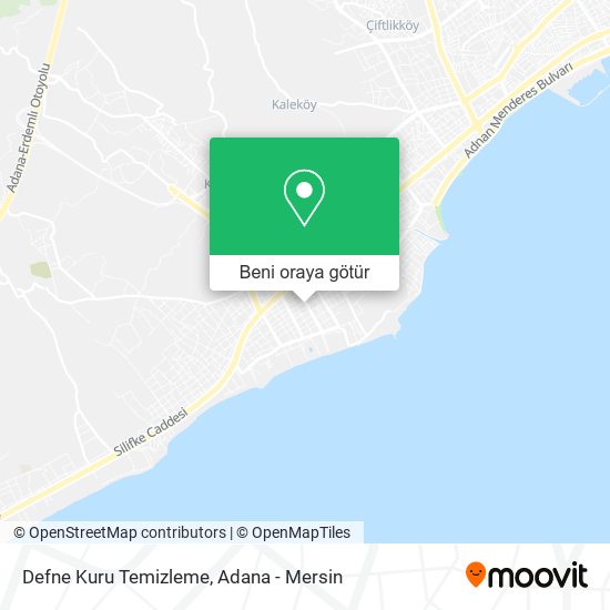 Defne Kuru Temizleme harita