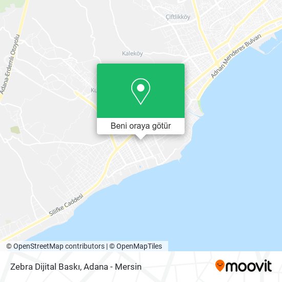 Zebra Dijital Baskı harita