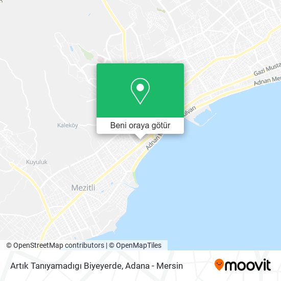 Artık Tanıyamadıgı Biyeyerde harita