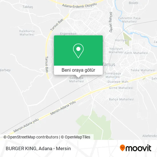 BURGER KING harita