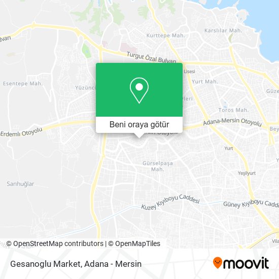 Gesanoglu Market harita