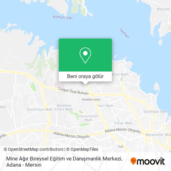 Mine Ağır Bireysel Eğitim ve Danışmanlık Merkezi harita
