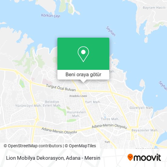 Lion Mobilya Dekorasyon harita