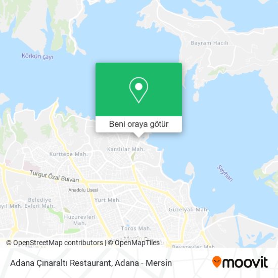 Adana Çınaraltı Restaurant harita