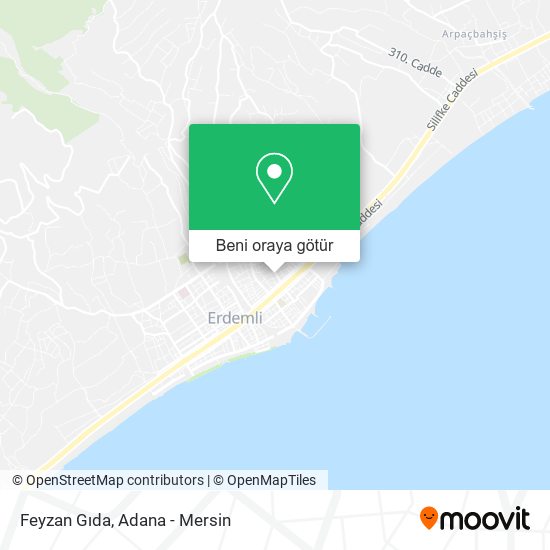 Feyzan Gıda harita