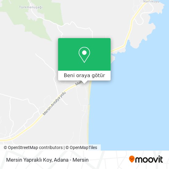 Mersin Yapraklı Koy harita