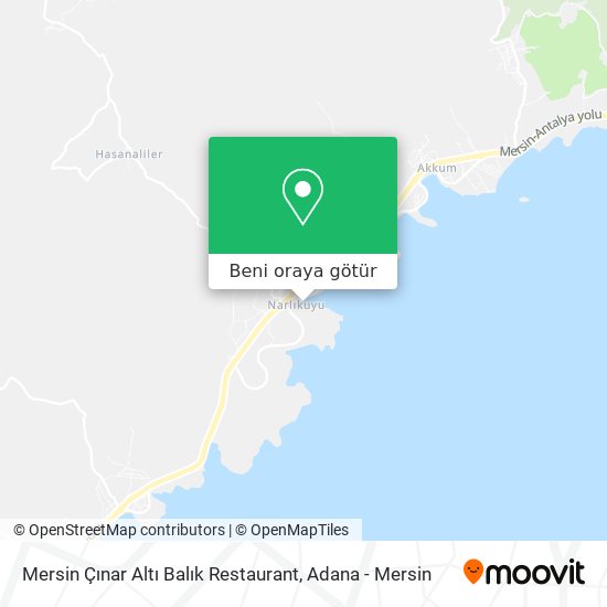 Mersin Çınar Altı Balık Restaurant harita
