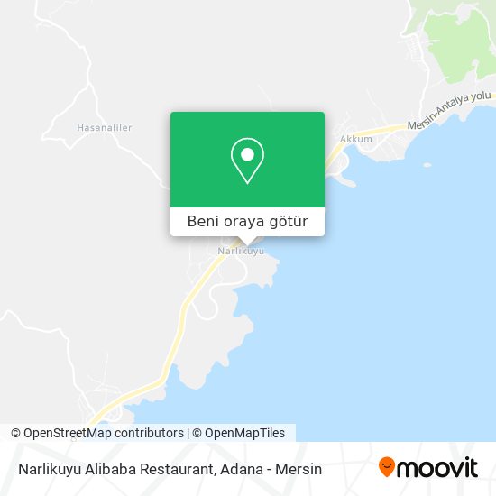 Narlikuyu Alibaba Restaurant harita