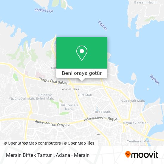 Mersin Biftek Tantuni harita