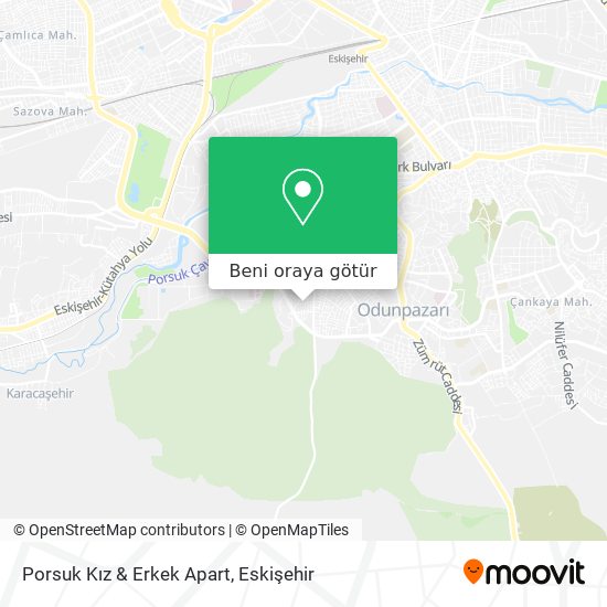Porsuk Kız & Erkek Apart harita