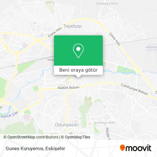 Gunes Kuruyemıs harita