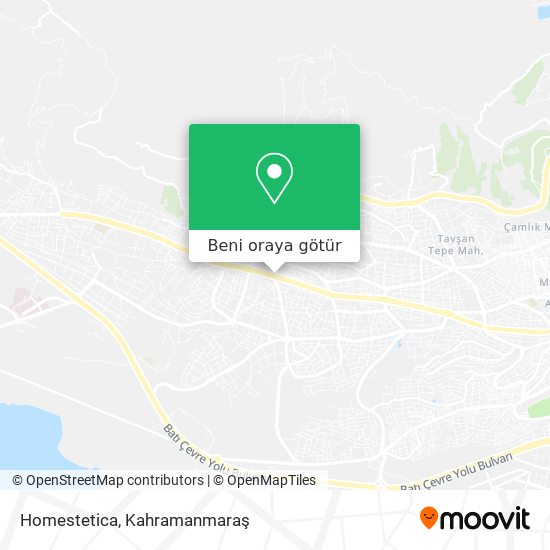 Homestetica harita