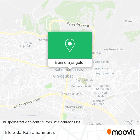 Efe Gıda harita