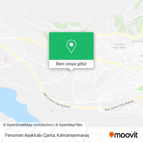 Fenomen Ayakkabı Çanta harita