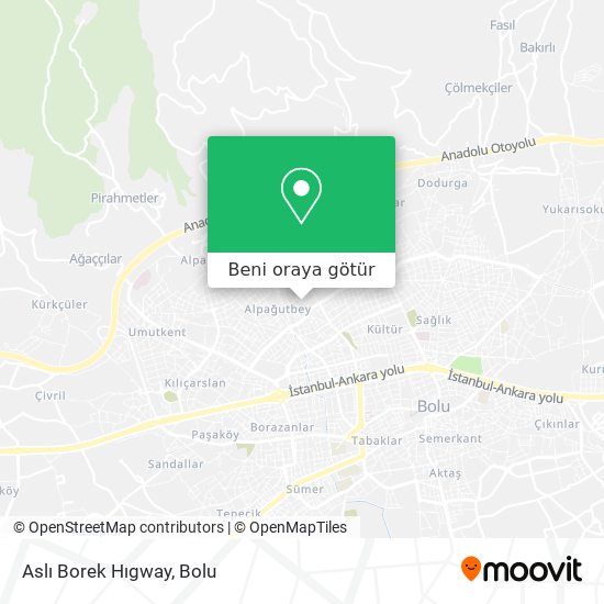 Aslı Borek Hıgway harita