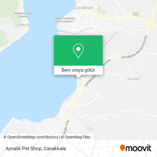 Ayvalık Pet Shop harita